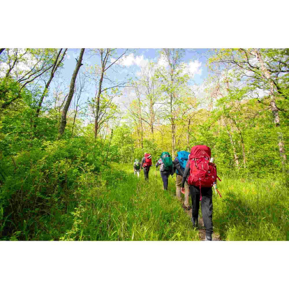 Learn & Live Kit - Knot Tying